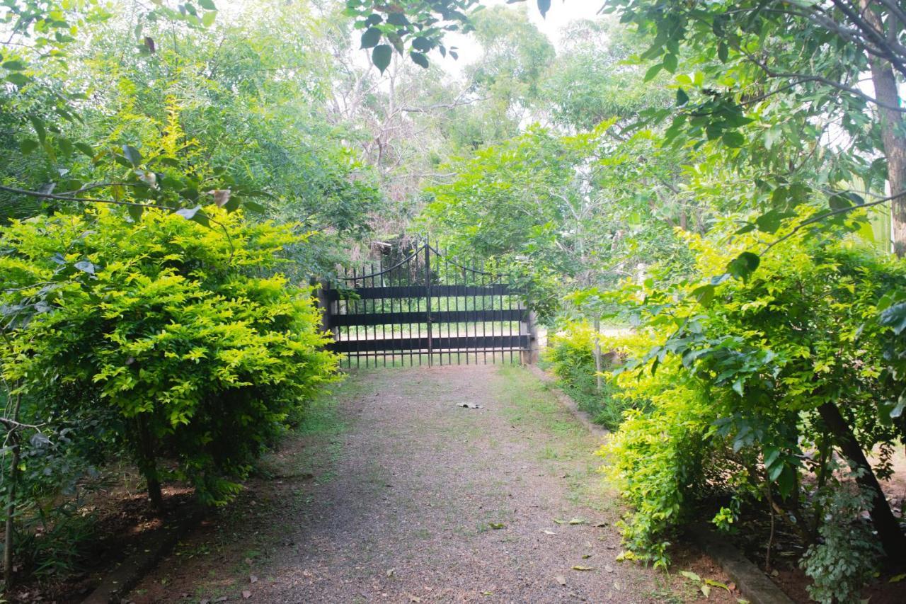 Forest Villa Nature Resort Anuradhapura Bagian luar foto