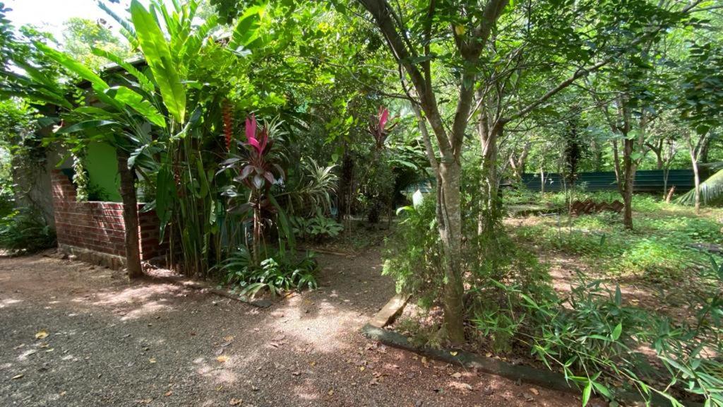 Forest Villa Nature Resort Anuradhapura Bagian luar foto
