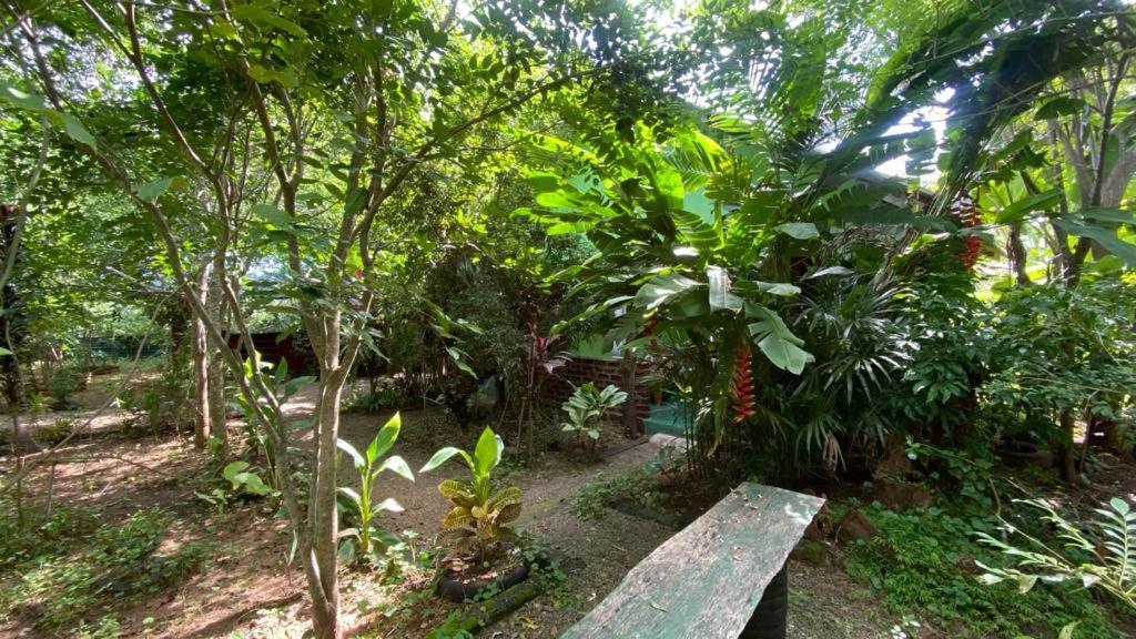 Forest Villa Nature Resort Anuradhapura Bagian luar foto