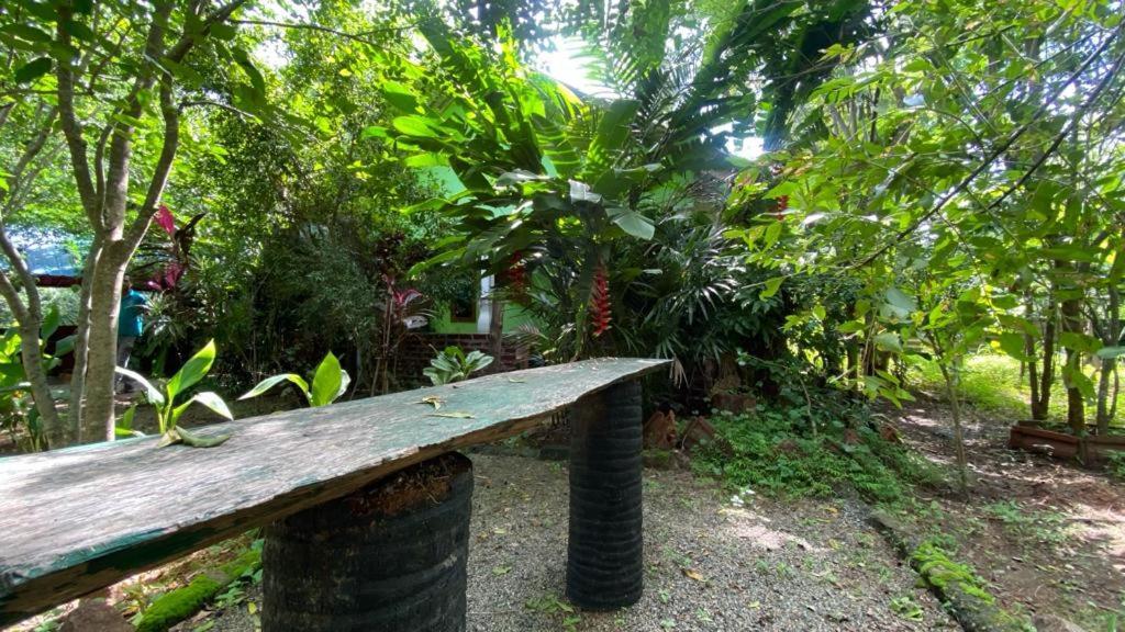 Forest Villa Nature Resort Anuradhapura Bagian luar foto
