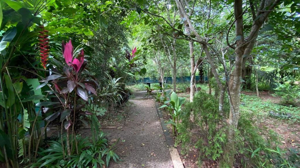Forest Villa Nature Resort Anuradhapura Bagian luar foto