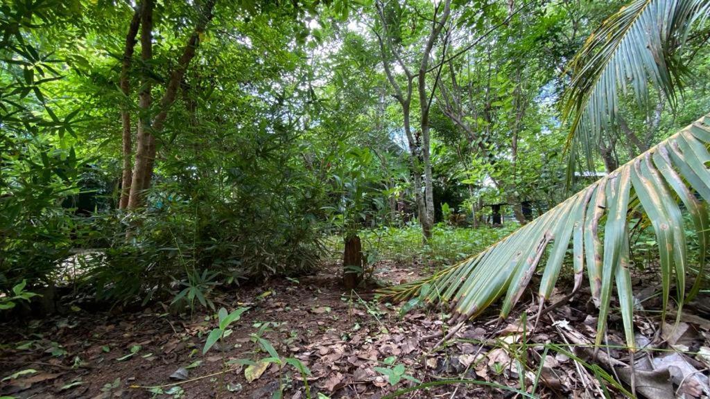 Forest Villa Nature Resort Anuradhapura Bagian luar foto