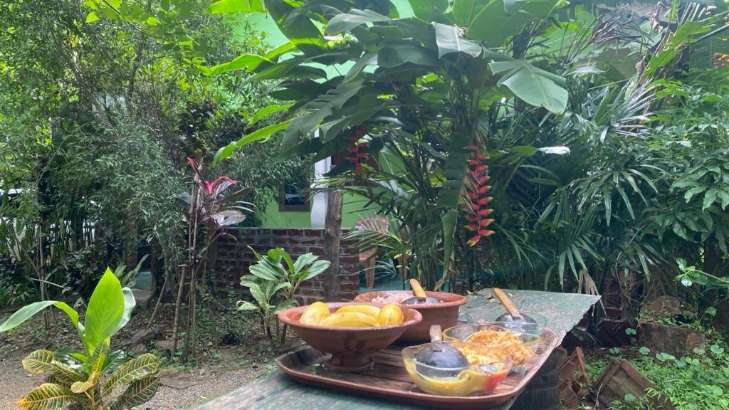 Forest Villa Nature Resort Anuradhapura Bagian luar foto
