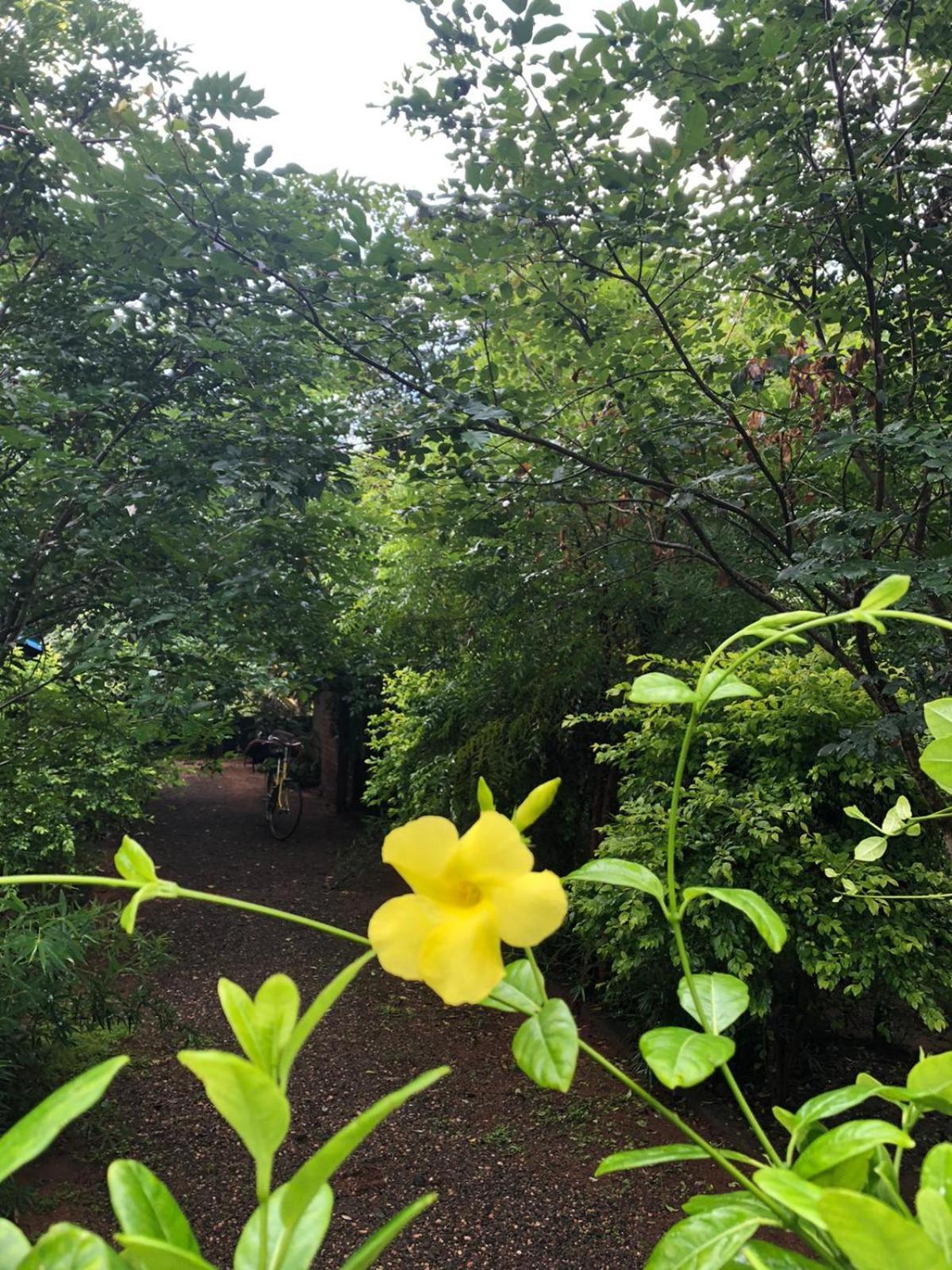 Forest Villa Nature Resort Anuradhapura Bagian luar foto