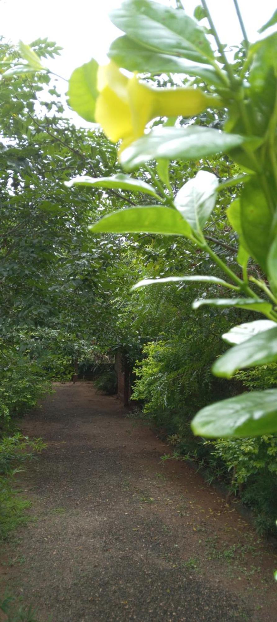 Forest Villa Nature Resort Anuradhapura Bagian luar foto