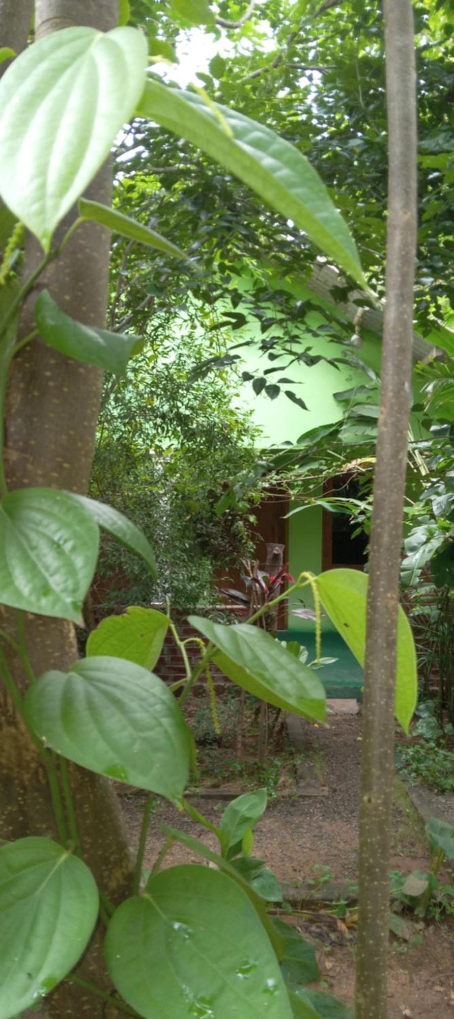 Forest Villa Nature Resort Anuradhapura Bagian luar foto