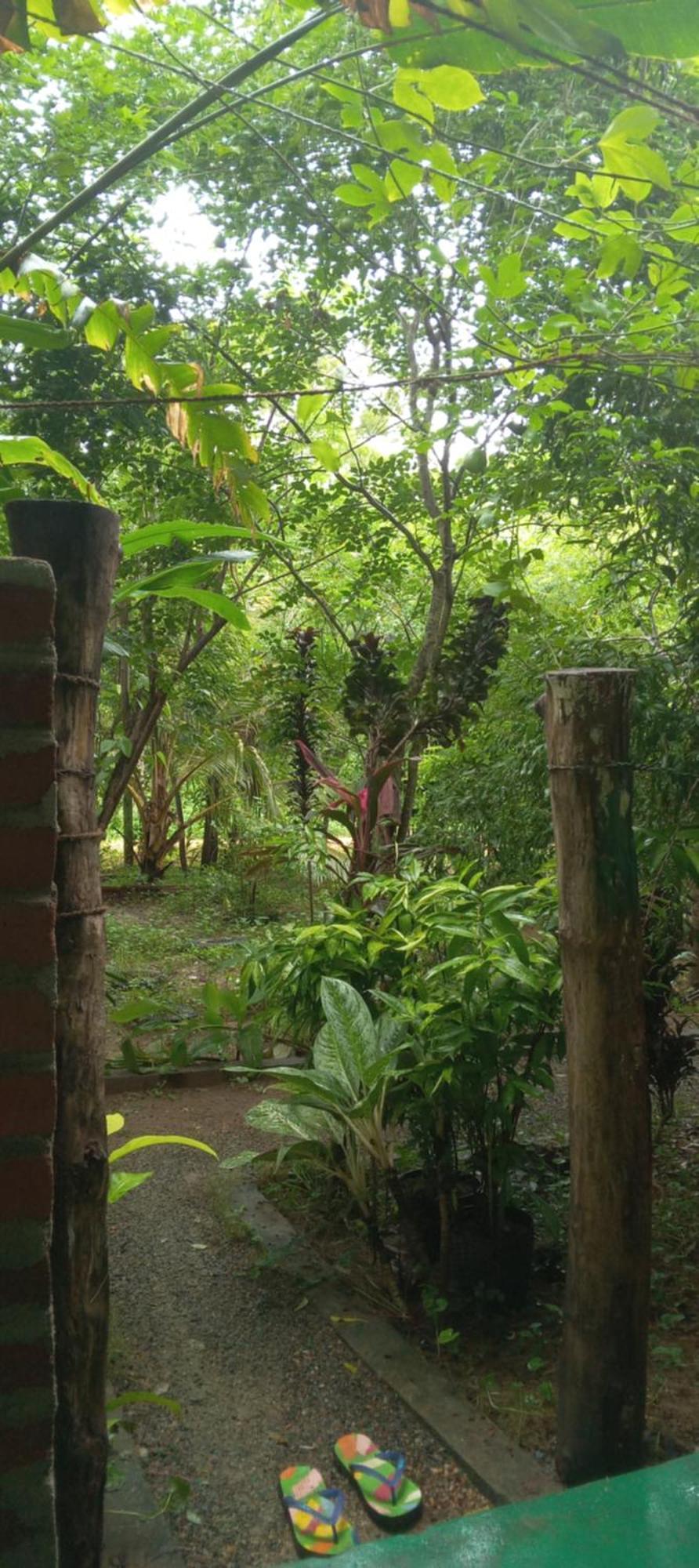 Forest Villa Nature Resort Anuradhapura Bagian luar foto