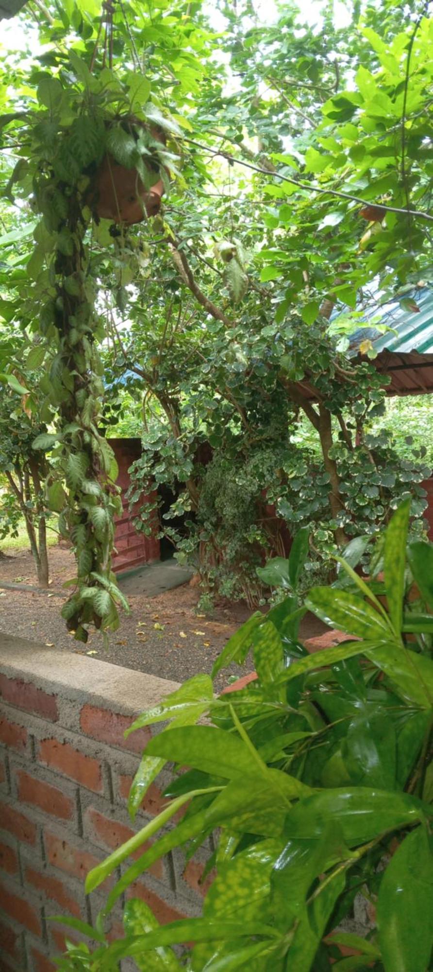 Forest Villa Nature Resort Anuradhapura Bagian luar foto