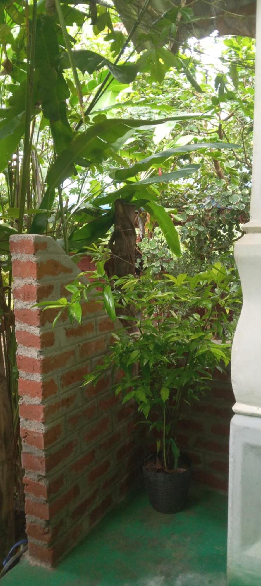 Forest Villa Nature Resort Anuradhapura Bagian luar foto