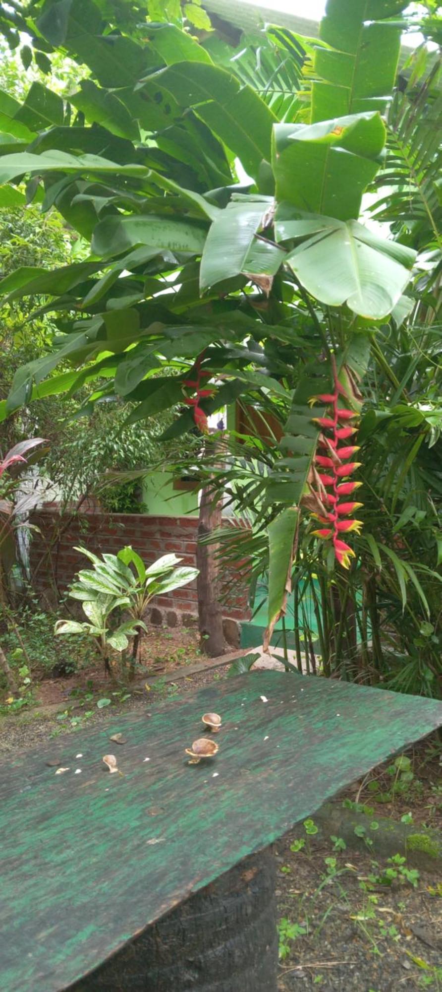 Forest Villa Nature Resort Anuradhapura Bagian luar foto