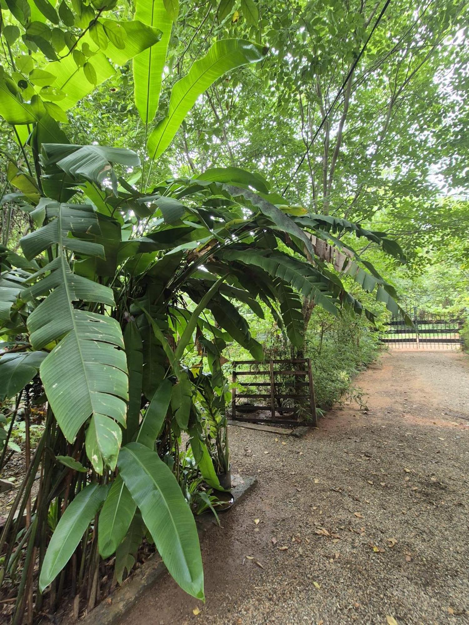 Forest Villa Nature Resort Anuradhapura Bagian luar foto