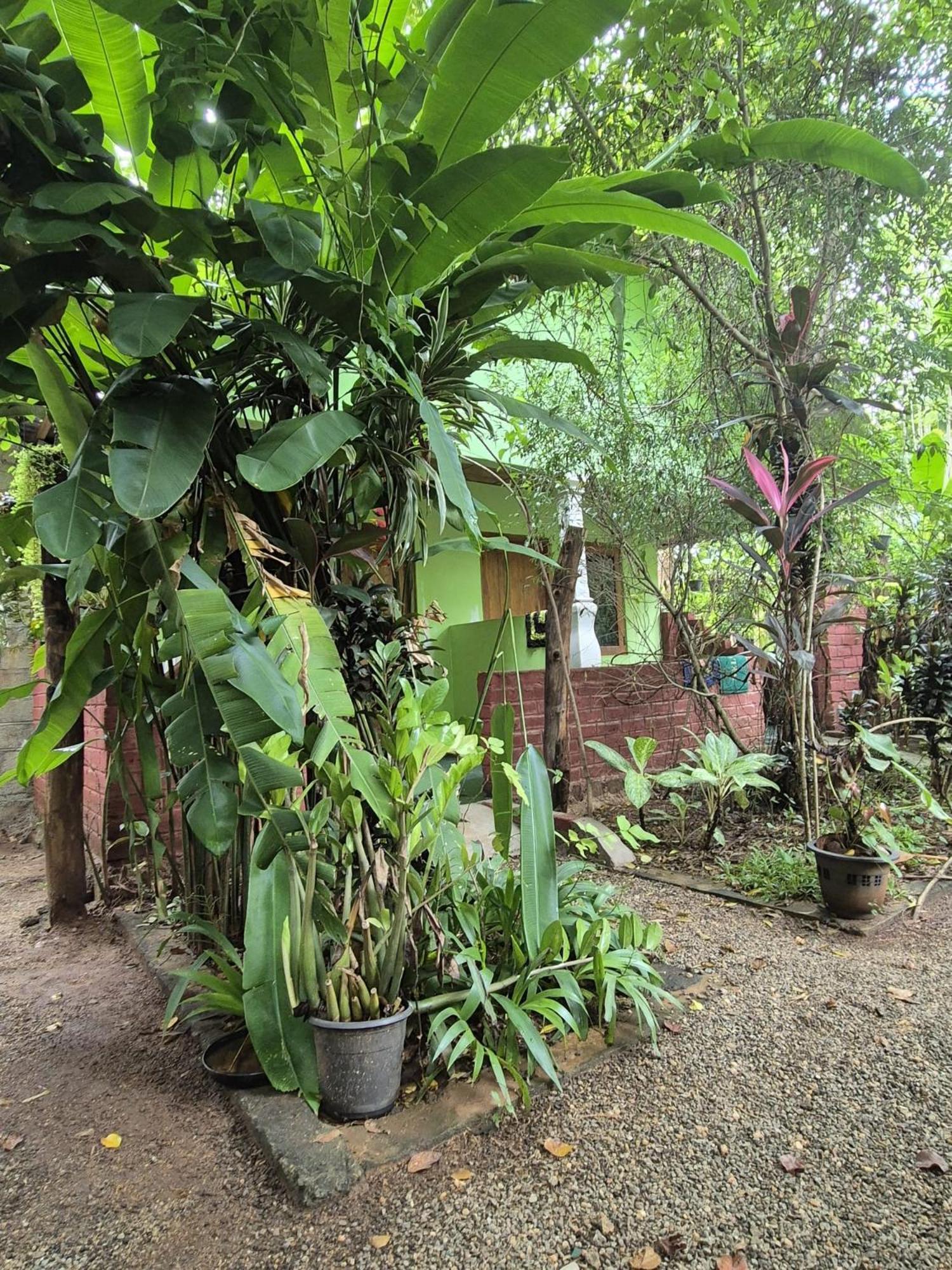 Forest Villa Nature Resort Anuradhapura Bagian luar foto